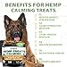 Hemp Calming Chews for Dogs with Anxiety and Stress - 120 Soft Dog Calming Treats - Storms, Barking, Separation - Valerian Root - L-Tryptophan - Chamomile - Hemp Oil (Duck)
