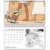 Dimensions L x w x h (cm): 21.00 x 0.50 x 12.50