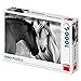 Dino Toys (DINR7) Puzzle (1000 Unidades), diseño de Caballos en Blanco y Negro, Multicolor Toys sro  Dino_532618