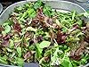 “Mesclun Mix” Salad Green Seeds – Fast-Growing Lettuce-free Salad Mix – Harvest in 40 Days | Never GMO, Always Heirloom and Open-Pollinated | USA Grown Seeds By Liliana's Garden | #4
