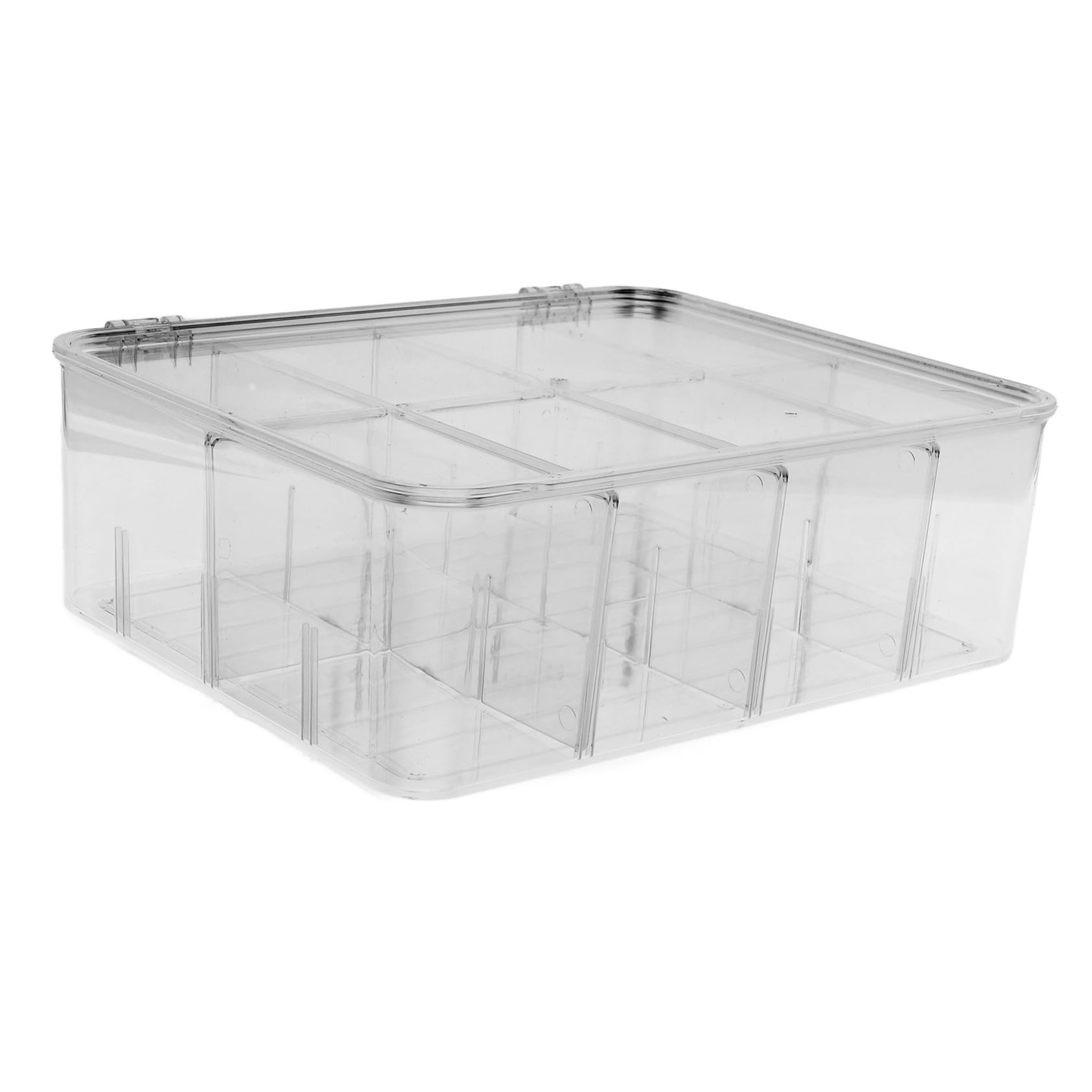 GARVALON Unterteilte Pet Kunststoffbox mit Deckel, 8 Fächer | Großes Fassungsvermögen, Transparente Aufbewahrung für Küche und Esszimmer, Leicht Entnehmbar