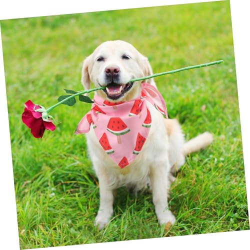 BATHVEVE �y�b�g�p�O�p�o���_�i ���� �y�b�g���p�X�J�[�t ���߉\ ���^ ��^���Ή� �a������p�[�e�B�[�p �������Ŏ��p�I��