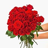 BloomsyBox: Fresh Cut Red Roses - 24 Long Stems, Red Rose, Hand-Tied in Eco-friendly Wrap, with Pers