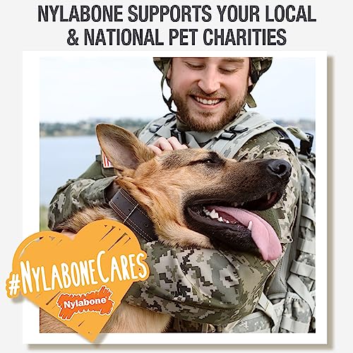 Nylabone Healthy Edibles Long-Lasting Dog Treats - Natural Dog Treats For Medium Dogs - Dog Products - Roast Beef Flavor, Medium/Wolf (2 Count) #TOP7