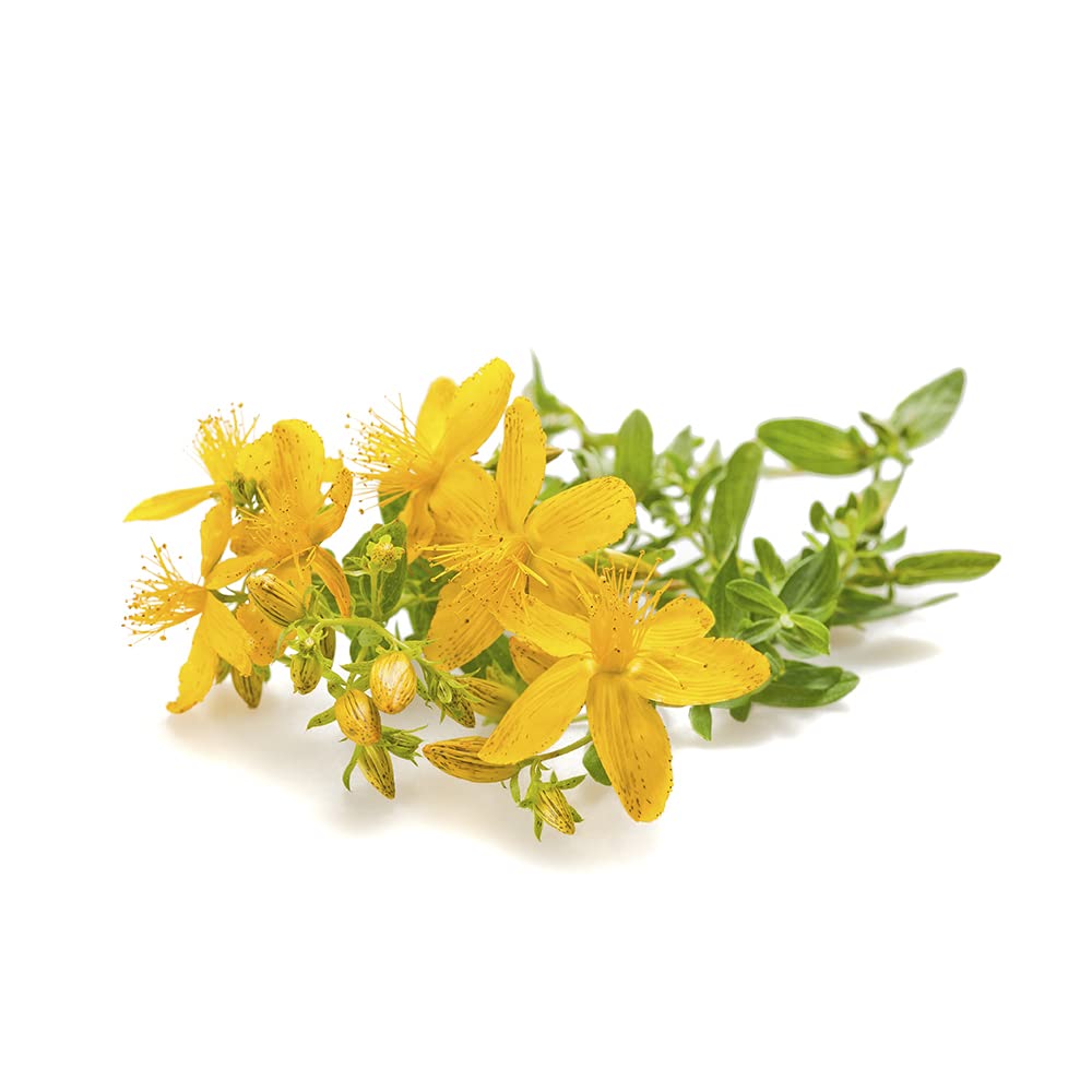 IPERICO (ERBA DI SAN GIOVANNI) * 230 mg / 60 capsule * 0,3% in Ipericina *Migliora l’umore naturalmente * Efficace contro lo stress * Fabbricato in FRANCIA
