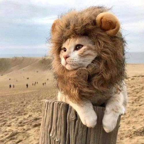Peruca de juba de leão para gato, peruca de juba de leão de estimação | Peruca de juba de leão fanta