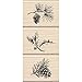 Inkadinkado Holiday Sprigs Wood Stamp Set_60-01139