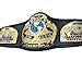 New Custom Tag Team World Heavyweight Wrestling Championship Belt | Adult size Replica TitleTag Team Wrestling Fan Title Belt (WCW Tag)