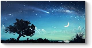 tabloshop Kayan Yıldızlar Kanvas Tablo 100 x 50