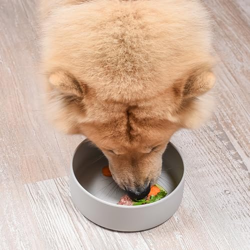 ne&no® Silikon Fressnapf 1200 ml für kleine und mittelgroße Hunde | Futternapf Hund rutschfest | Hunde Trinknapf | Hundenapf