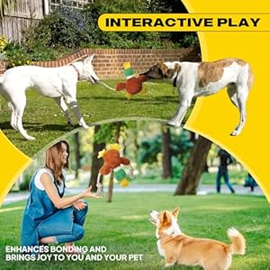 Fida Dog Toys for Aggressive Chewers, Dog Toys to Keep Them Busy, Squeaky Dog Toys for Large Dogs, Intactive Dog Rope Toy Plush Duck Dog Toys for Small Medium Dogs Fida Dog Toys for Aggressive Chewers Dog Toys to Keep Them Busy Squeaky Dog Toys for Large Dogs Intactive Dog Rope Toy Plush Duck Dog Toys for Small Medium Dogs