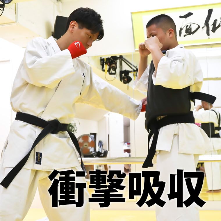 Amazon | BODYMAKER(ボディメーカー) ボディプロテクター F