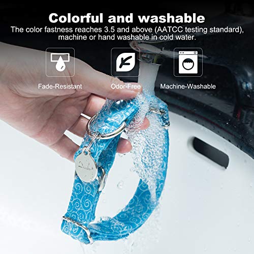 Dazzber Martingale Collar Nylon Dog Collar No Pull Pet Collar Heavy Duty For Medium And Large Dogs, Adjustable 14 Inch - 21 Inch, Sky Blue #TOP3