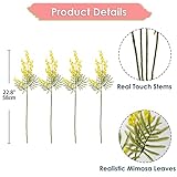 Oairse B0BMV53X6R lato 2