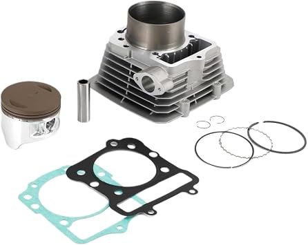 Cylinder Jug With Piston And End Compatible With Bayou Lakota Prairie 300 DARUPSUN