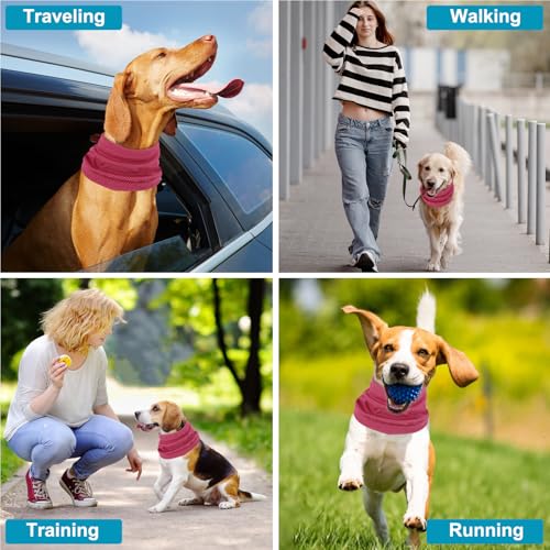 Kühlhalsband für Hunde, Hunde halstücher Kühlend, Hundehalsband Kühlend, Kühlendes Hundehalsband, Geeignet für Kühlhunde im Sommer, 55 x 16 cm