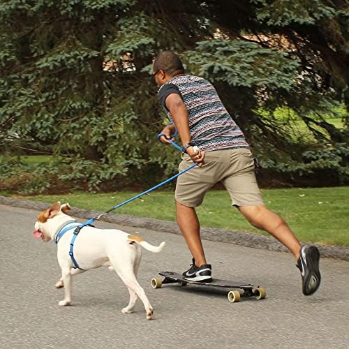 strong leash for pitbull