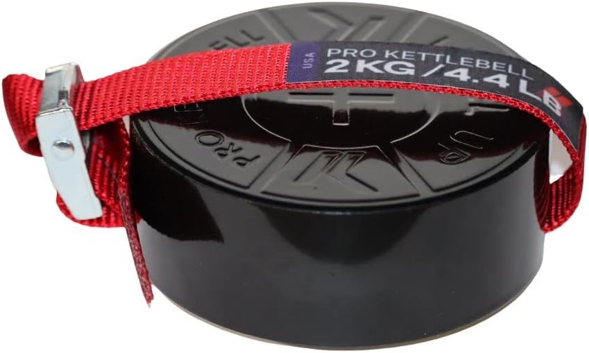 Magnetic Chip Weight Plate: Make your kettlebell, dumbbell, barbell, club, mace and more gym equipment instantly adjustable