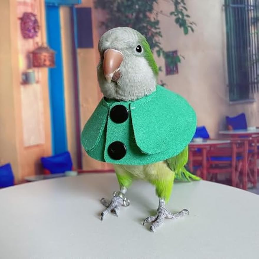FORZENA Bird Clothes Pet Parrot Anti-bite Elizabethan Collars Anti-Grab Feather Plucking Wound Healing Safety Recovery Collar Cones for Budgerigar Lovebird Conure Cockatiel Cockatoo (XS)