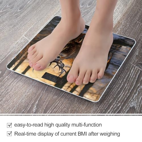 Báscula Digital de Baño Compacta y Moderna miniatura 5