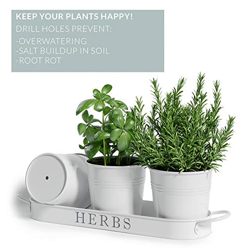 https://m.media-amazon.com/images/I/511xhPvTGeL._SL500_.jpg