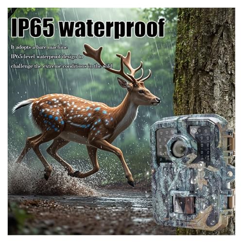 QAXRZCUCD Caméra De Chasse 16MP, Vision Nocturne Infrarouge, Suivi des Sentiers Sauvages, Activé par Le Mouvement, Piège Photo, Surveillance Sauvage Images Et VidéOs Nettes(DL003with32GB) – vue 6