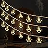 Gesto Copper Serial String Lights,14 LED Diwali Diya,10 Feet Warm White Fairy Lights for Home,Mandir,Pooja Room,Deepawali & Diwali Decoration,Christmas,Festival,Indoor & Outdoor Decorative Lights #1