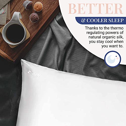 Blissy Silk Pillowcase - 100% Pure Mulberry Silk - 22 Momme 6A High-Grade Fibers - Satin Pillow Cover For Hair & Skin - Regular, Queen & King With Hidden Zipper #TOP2