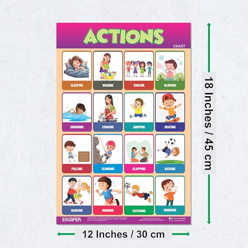 Image of ESCAPER Actions Educational Charts (11.5 x 17.5 inches), 300 GSM Paper, Laminated, Self Adhesive Back, Kids Learning Posters, Perfect For Home Schooling, Nursery Students