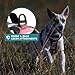 Embark Adventure Small Dog Harness – No-Pull, Reflective Trim, Military-Grade Nylon, Front Clip with Gel-Lined Handle, Soft & Padded
