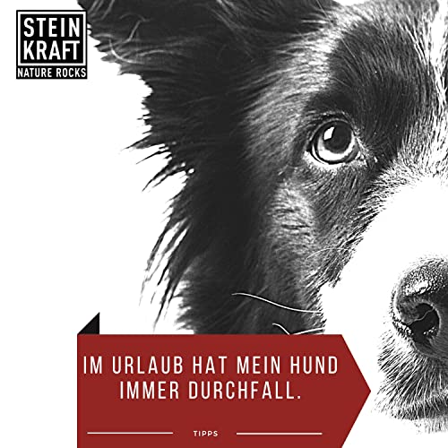STEINKRAFT ZEOLITH Pulver für Hunde, 250g, 14 μm, Klinoptilolith Anteil hoch, unterstützt Futterverwertung, Knochenaufbau, Fellwechsel