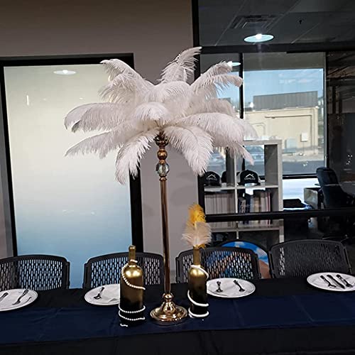 Londgen 10Pcs Natural Ostrich Feathers Plumes 14-16Inch(35-40Cm) For Craft Flower Arrangement Wedding Decoration And Halloween Party (White) #TOP1