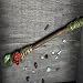 Imagen de Crystal Magiic Wand
