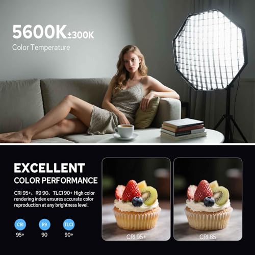 Image of Godox SL60W LED Video Light, 60W 5600K Daylight LED Continuous Light SL-60W, Powerful Studio Bright Light with Bowens Mount 10-100% Brightness for Video Recording Wedding