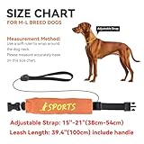 NAMSAN 2-in-1-Hundehalsband mit Rollleine Leine Verstellbares Hundehalsband Eingebaut Ausziehbar Hundeleine mit Griff für Mittlere und Große Hunderassen