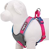 Blueberry Pet 4 Colors Soft & Comfy Summer Hope 3M Reflective Padded Dog Harness Vest, Chest Girth 17