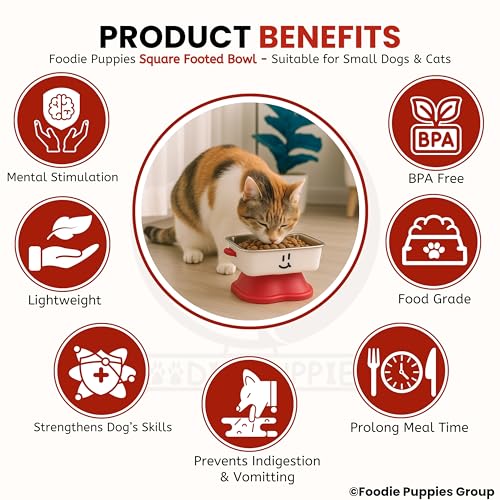 Image of Foodie Puppies Pet Elevated Cat Bowl - (Fun Face Square Bowl) | Detachable Stainless Steel Raised Bowl for Food & Water Feeding | Durable, Anti-Vomiting, Mess-Free Feeder for Cats, Kittens & Puppies