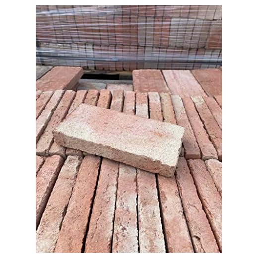 LADRILLO MACIZO RUSTICO DE BARRO - LADRILLO VISTO PARA PAREDES Y SUELOS - ELABORACION ARTESANAL (100)