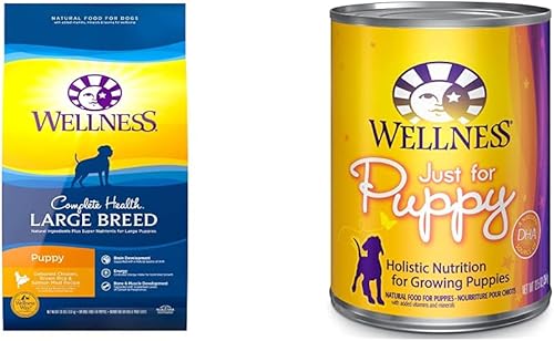 Miniatura 1 de Wellness Complete Health Alimento seco para cachorros de raza grande, pollo, arroz integral y salmón, bolsa de 5 libras, alimento húmedo para