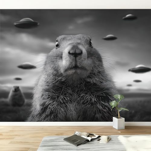 Fototapete Kinoreif Wanddekoration B250 x H175 cm, Tiere Maus Schwarzweiß Prärie Tapeten Wandtapete für Wohnzimmer Schlafzimmer Wandtapete Panorama Poster Wandbild für Kinderzimmer