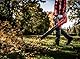 Einhell Professional Akku-Laubbläser GP-LB 36/230 Li E BL-Solo Power X-Change (36 V, 230 km/h Luftgeschwindigkeit, Brushless, Drehzahlregulierung, 3-TLG. Rohr, ohne Akku)