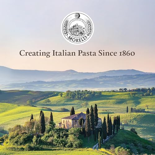 Morelli Pici Pasta di Toscana - Italian Gourmet Organic Pici Noodles - Thick Organic Pasta Nests Made in Italy from Durum Wheat Semolina - 17.6oz (500g) - Pack of 2