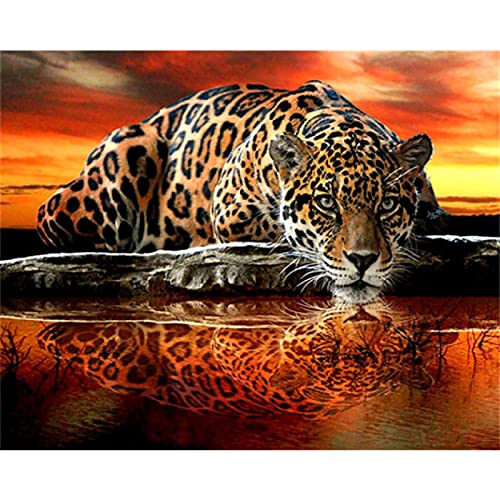 GermYan Kits para Colorear por números, imágenes de decoración del hogar, Pintura por número, Animal de Leopardo, Regalo artístico Pintado a Mano