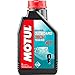 Produktbild Huile lubrifiante motores nautica motos agua fueraborda OUTBOARD TECH 4T 10W40 2 L