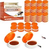 96Pcs Ant Traps Indoor & Outdoor, Ant Traps Stations - Safety for Humans and Pets, Long-Lasting Management Solution, Ready to Use