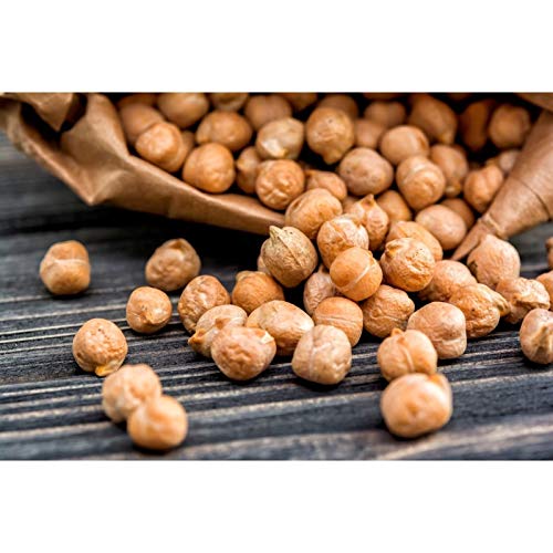 Garbanzo Beans Seeds 25 Seed Package