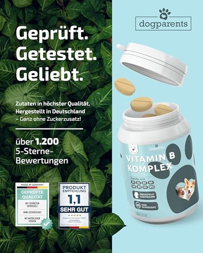 Vitamin B Komplex Hund & Katze [MADE IN GERMANY, ZUCKERFREI & LABORGEPRÜFT] Alle 8 B Vitamine für Hunde B1, B2, B3, B5, B6, B9, B12, K3 unterstützt Nerven, Energie, Fell & Immunsystem (60g (1er Pack))