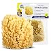 Baby Buddy Natural Baby Bath Sponge 4" Soft Yellow Sea Sponge Soft on Baby's Tender Skin, Biodegradable, Hypoallergenic, Absorbent Natural Sea Sponge, 1 Pack
