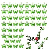 GIMOCOOL Clips muraux pour Plantes de Vigne, 50 Pinces adhésives en Forme de Papillon, Agrafe de Fixation de Vigne de Mur Vert avec la Traction Auto-adhésive de vignes pour l'agrafe de Mur de Jardin