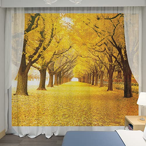 U-SITU J iJ[e Ռ fM h UVJbg CeA Ⴂ |o  J i RiF  ډB ͋C]iTCYF100 x 170cm x 2gjCL1186XS